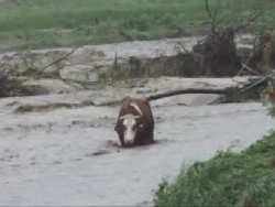 News 13 M Poplave Srbija 02